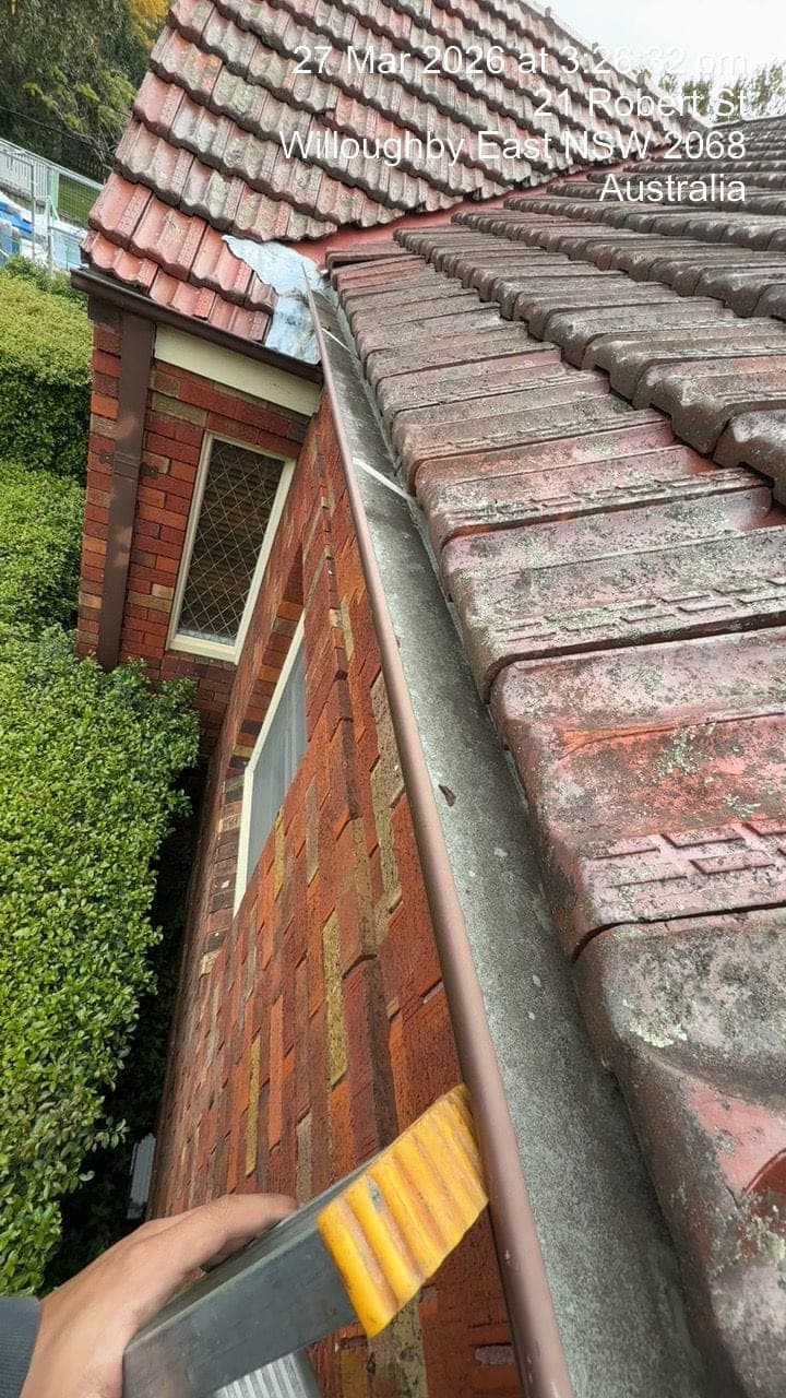 New Colorbond gutters and downpipes installed Willoughby East Sydney
