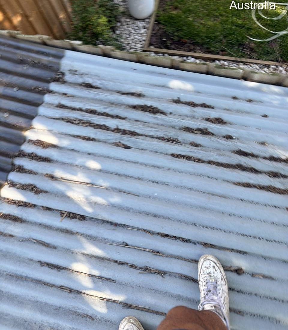 New Zincalume corrugated metal roof installation Crown Roofers Randwick Sydney Eastern Suburbs project 2 — photo 14 v2