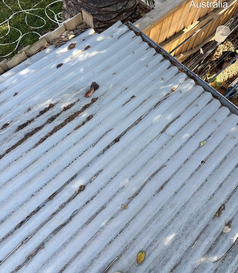 New Zincalume corrugated metal roof installation Crown Roofers Randwick Sydney Eastern Suburbs project 2 — before (portfolio) v2