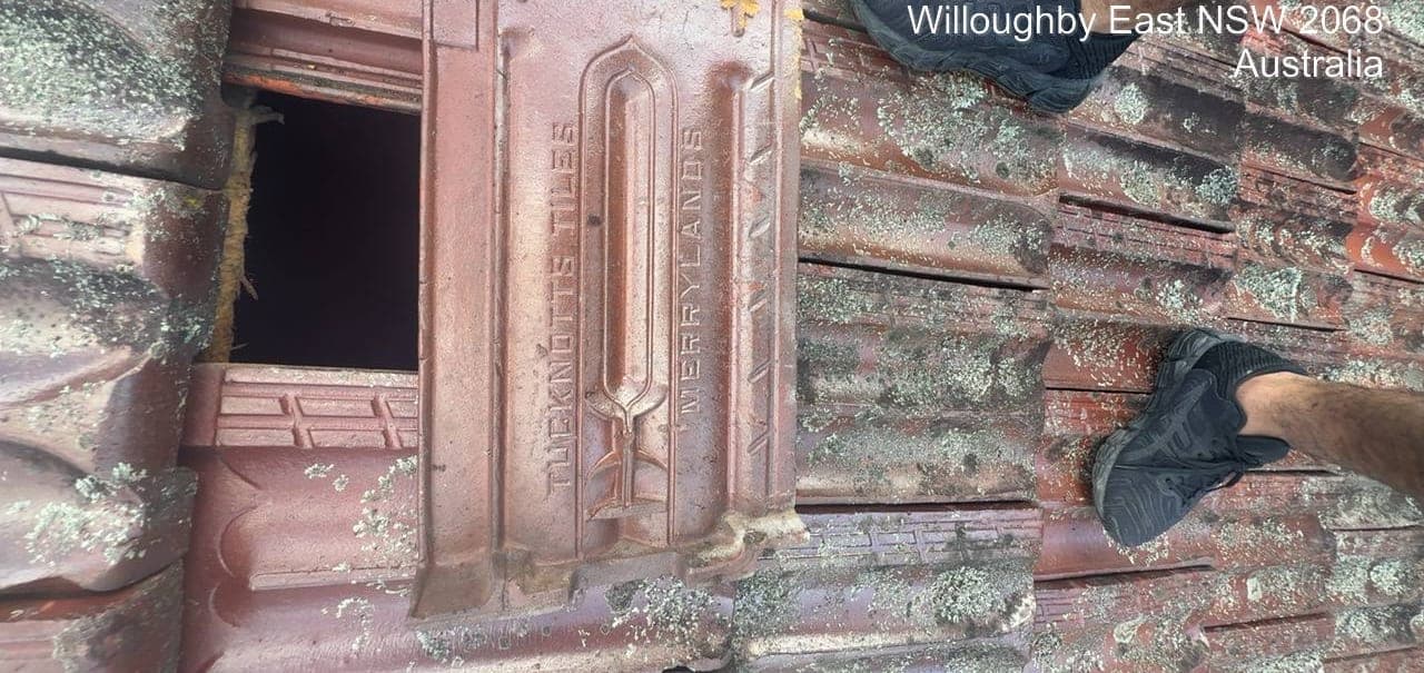 Heritage terracotta tile roof restoration — Crown Roofers project Willoughby East Lower North Shore Sydney — before restoration — moss and lichen across tile field