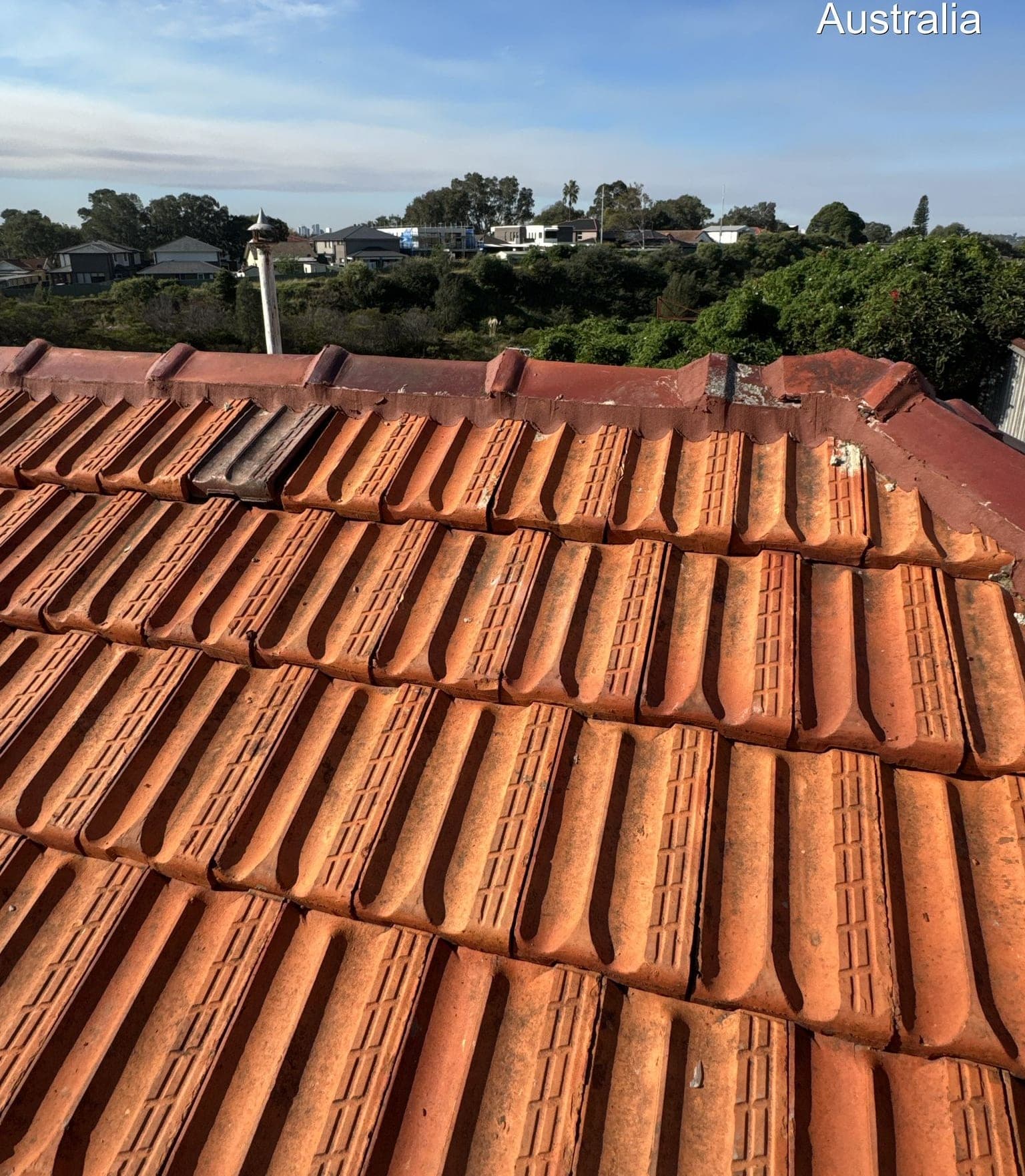 Ridge cap rebedding and flexible pointing Crown Roofers Belmore Inner West Sydney — after v2