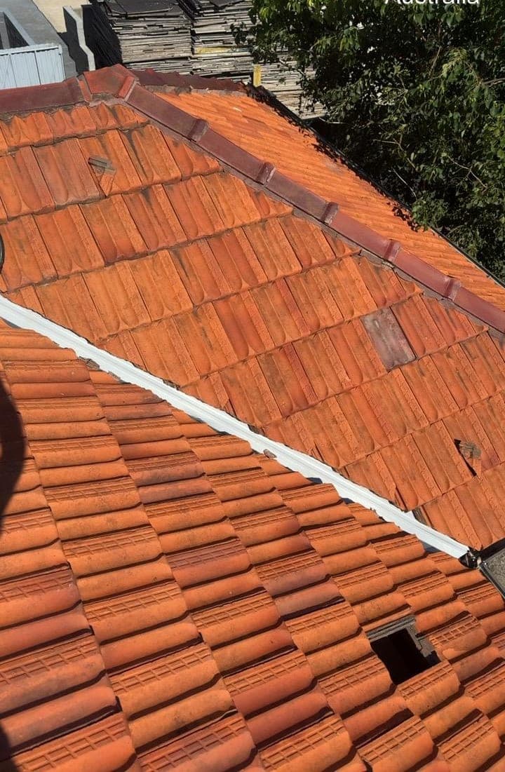 Ridge cap rebedding and flexible pointing Crown Roofers Belmore Inner West Sydney — photo 4 v2