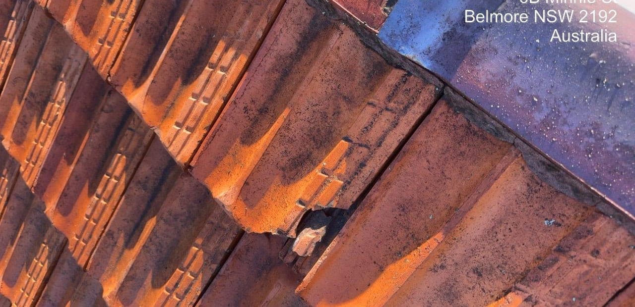 Terracotta tile roof restoration before and after Crown Roofers Belmore Inner West Sydney — before v2