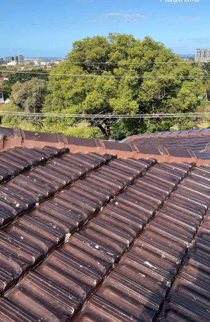 Terracotta tile roof restoration and re-coating Crown Roofers Bexley St George Sydney — photo 15 v2