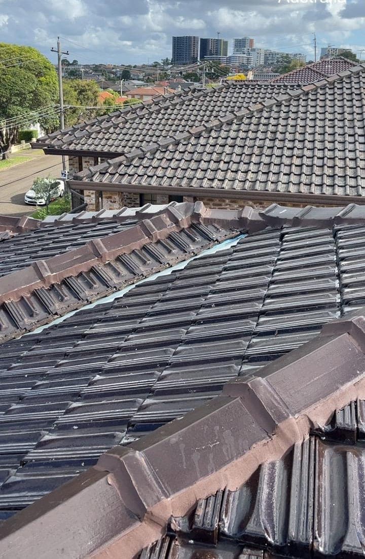 Terracotta tile roof restoration and re-coating Crown Roofers Bexley St George Sydney — photo 17 v2