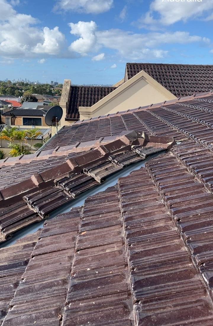 Terracotta tile roof restoration and re-coating Crown Roofers Bexley St George Sydney — photo 19 v2