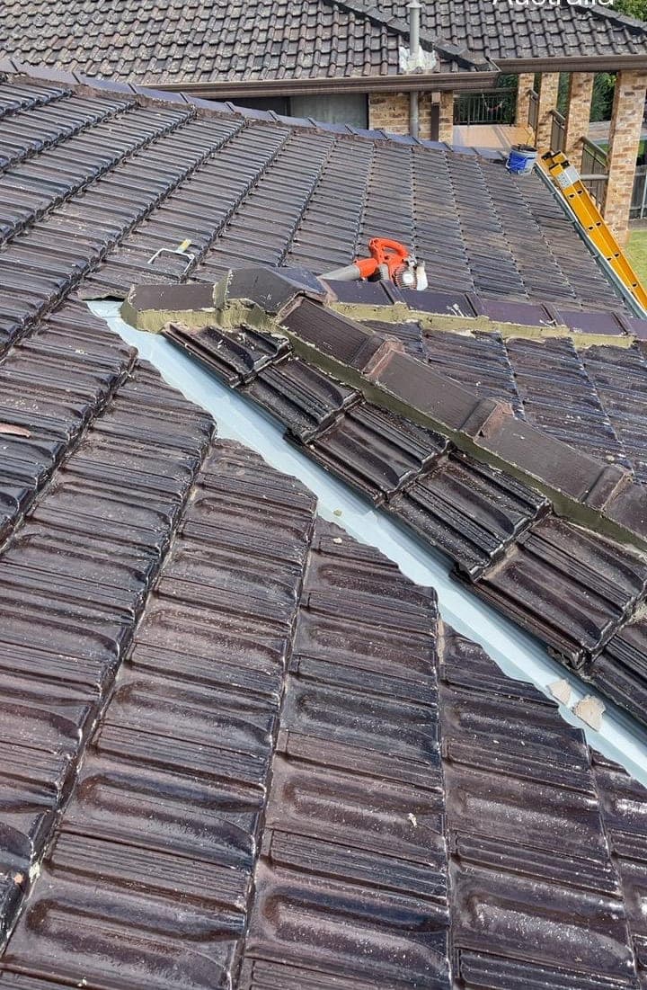 Terracotta tile roof restoration and re-coating Crown Roofers Bexley St George Sydney — photo 31 v2