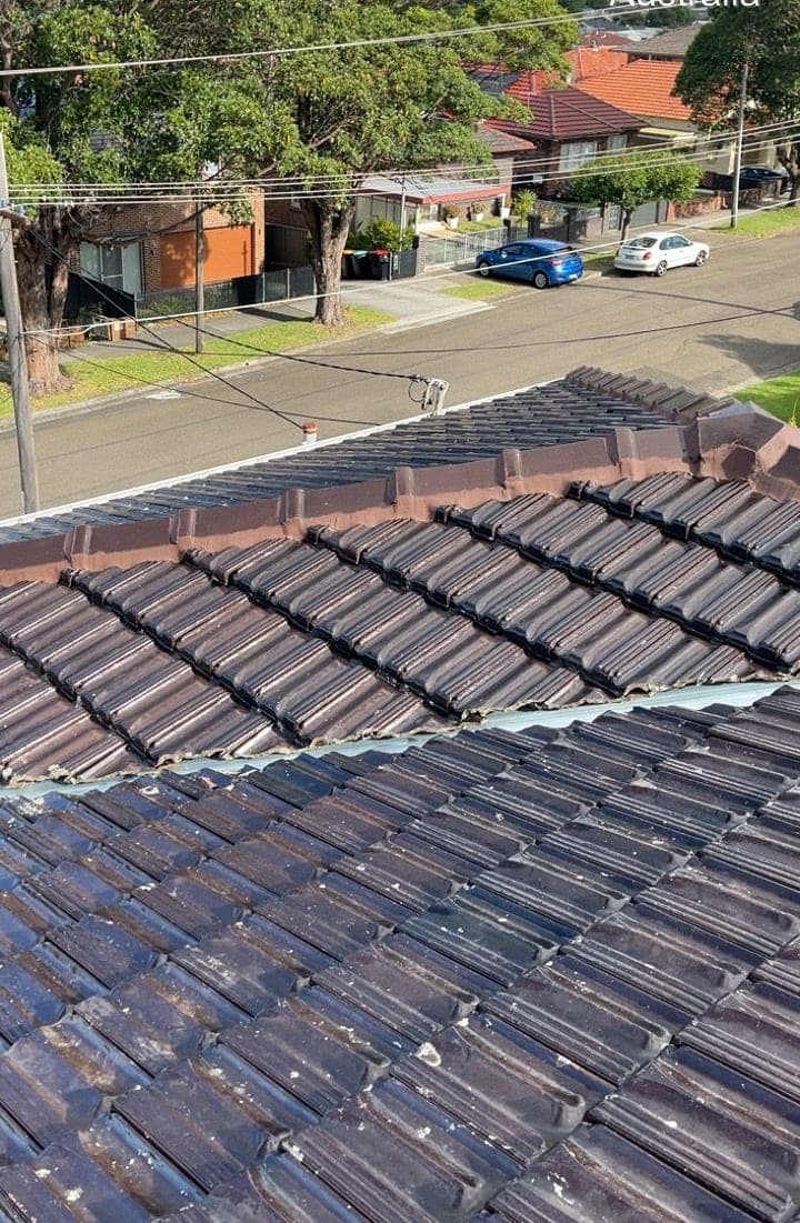 Terracotta tile roof restoration and re-coating Crown Roofers Bexley St George Sydney — photo 34 v2