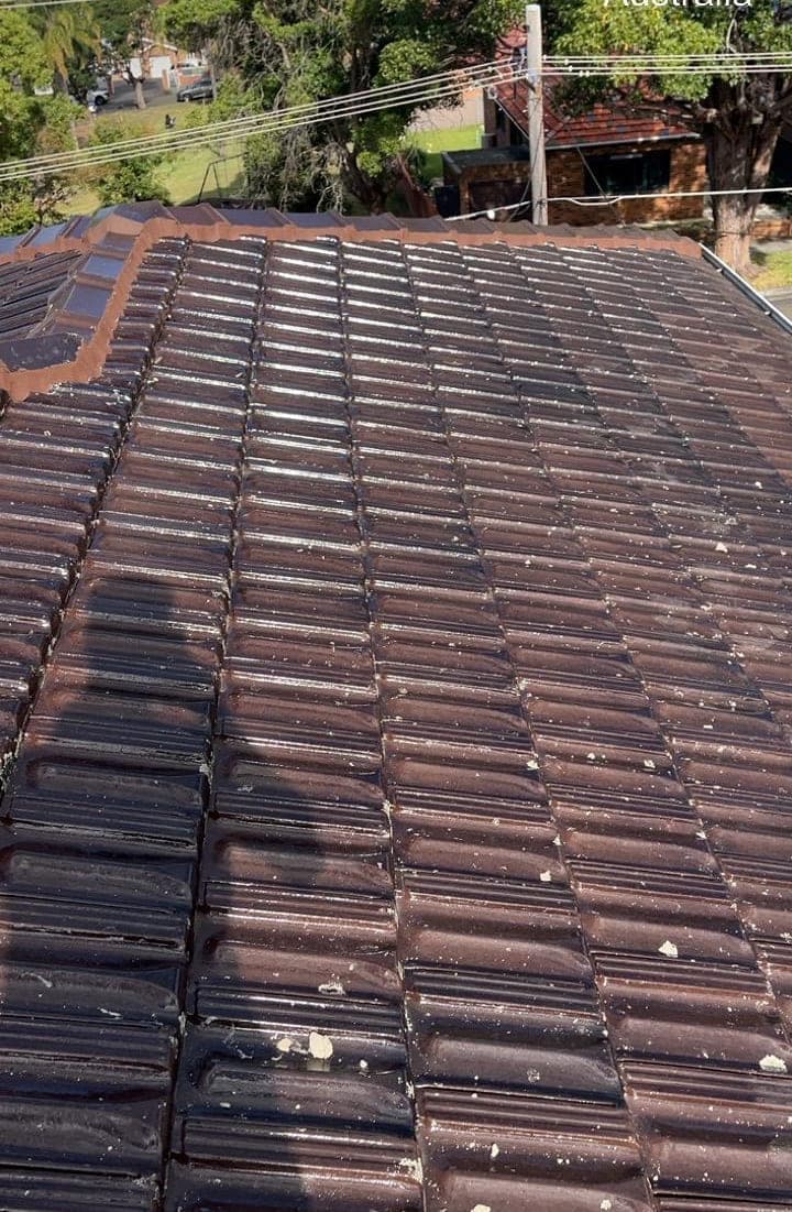Terracotta tile roof restoration and re-coating Crown Roofers Bexley St George Sydney — photo 41 v2