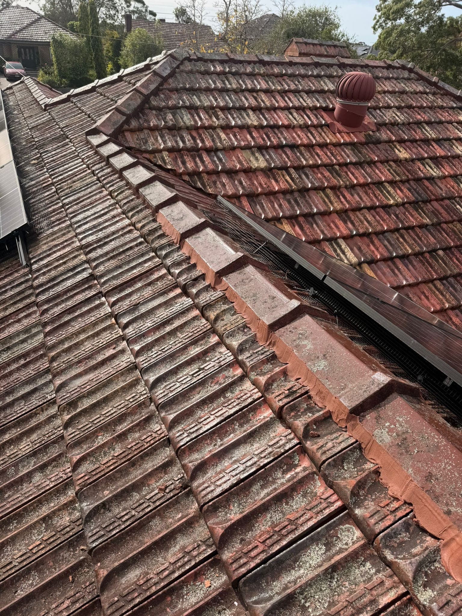 Aged terracotta tile roof with solar panels — Crown Roofers tile restoration project Epping North Shore Sydney — photo 14