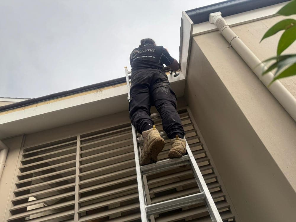 Crown Roofers tradesperson accessing the roofline by ladder on a Sydney property