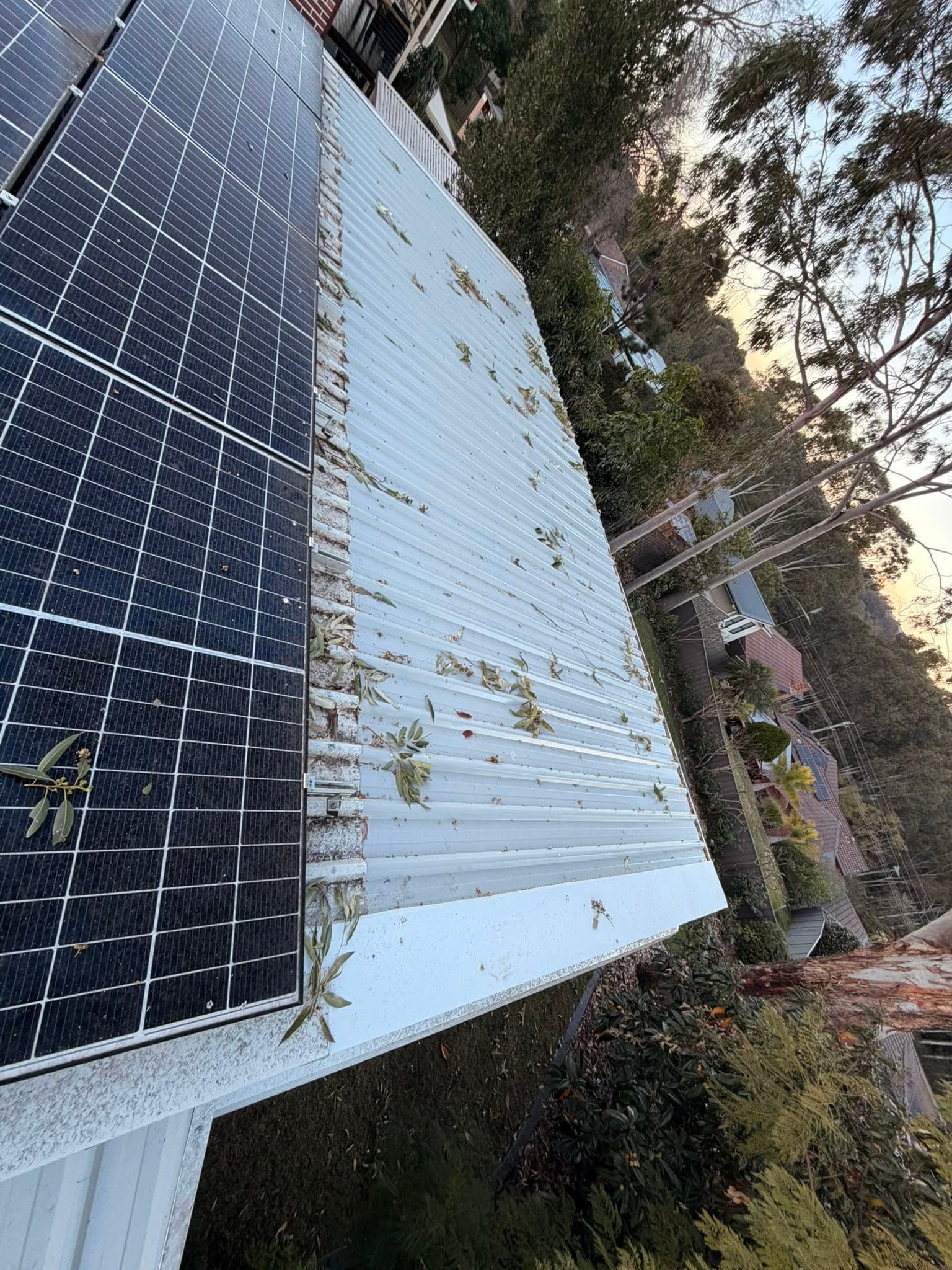 Colorbond and polycarbonate re-sheet Crown Roofers Emu Heights — before — leaf litter building up against the solar array on the old roof