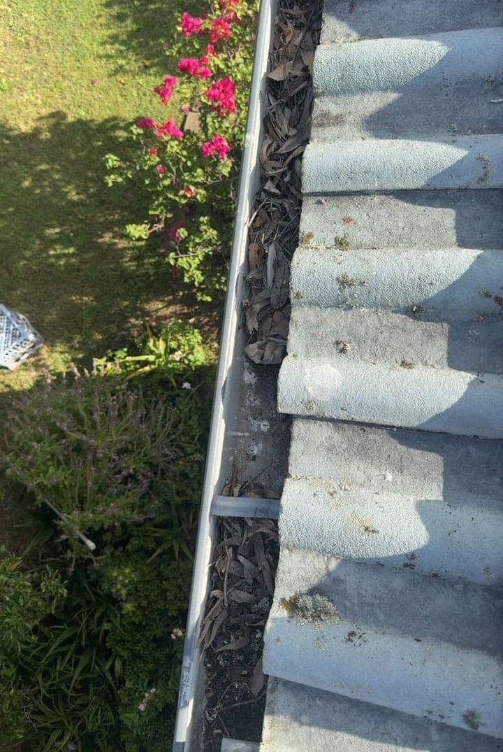 Residential gutter cleaning — Crown Roofers project Emerton Western Sydney — gutter packed with leaf debris before clean