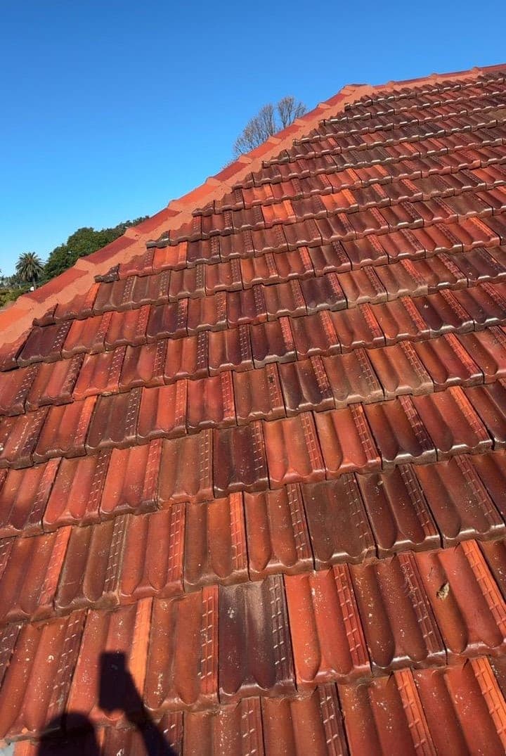 Heritage terracotta tile roof restoration — Crown Roofers project Willoughby East Lower North Shore Sydney — restored heritage terracotta tile roof — wide angle