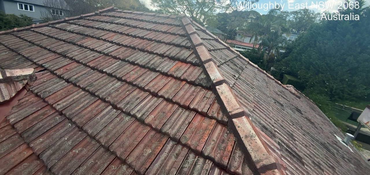 Heritage terracotta tile roof restoration — Crown Roofers project Willoughby East Lower North Shore Sydney — before restoration — aged tile roof with surface lichen and lost glaze