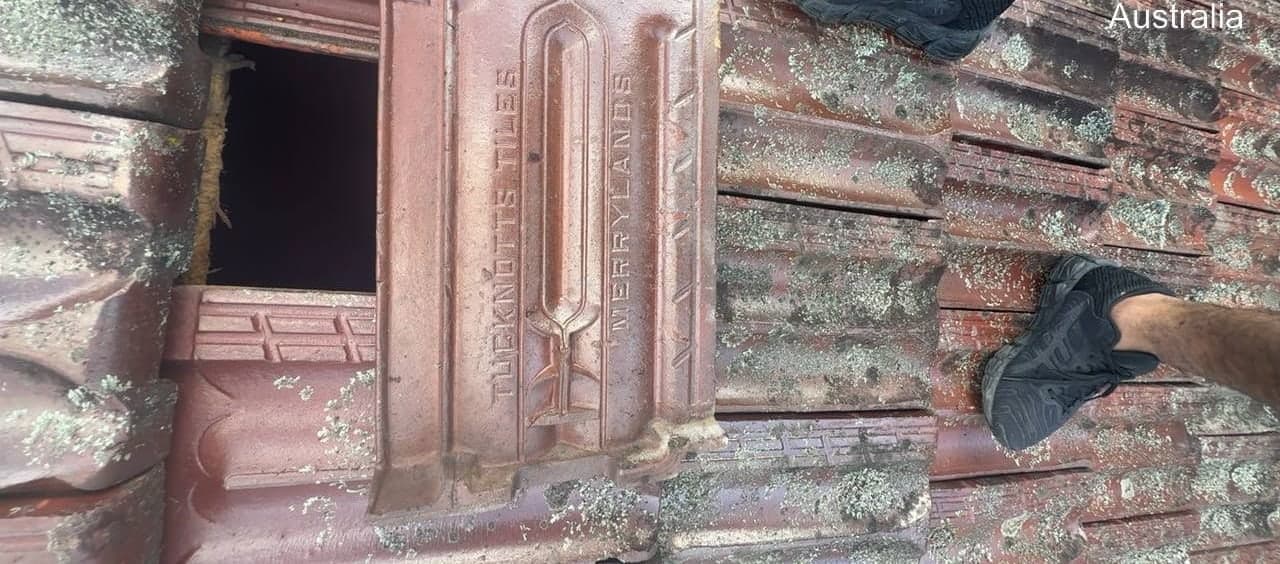 Heritage terracotta tile roof restoration — Crown Roofers project Willoughby East Lower North Shore Sydney — before restoration — moss and lichen across tile field