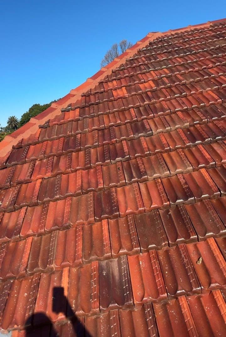 Heritage terracotta tile roof restoration — Crown Roofers project Willoughby East Lower North Shore Sydney — restored heritage tile roof — secondary wide angle