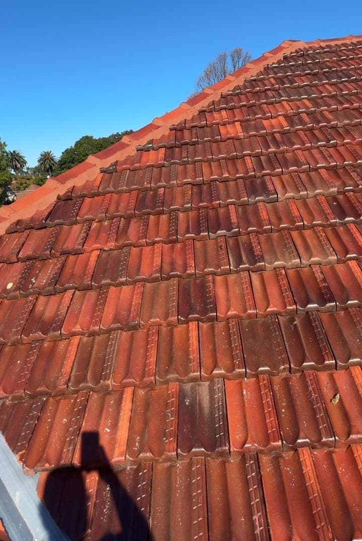 Heritage terracotta tile roof restoration — Crown Roofers project Willoughby East Lower North Shore Sydney — restored ridge line with new flexible pointing