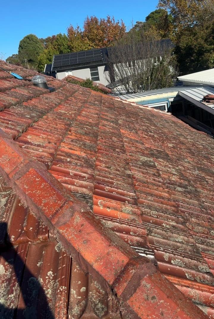 Heritage terracotta tile roof restoration — Crown Roofers project Willoughby East Lower North Shore Sydney — complete restored roof — front elevation