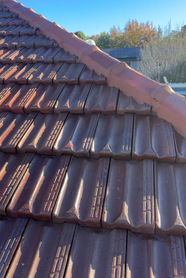 Heritage terracotta tile roof restoration — Crown Roofers project Willoughby East Lower North Shore Sydney — restored roof — full perimeter with new gutter line