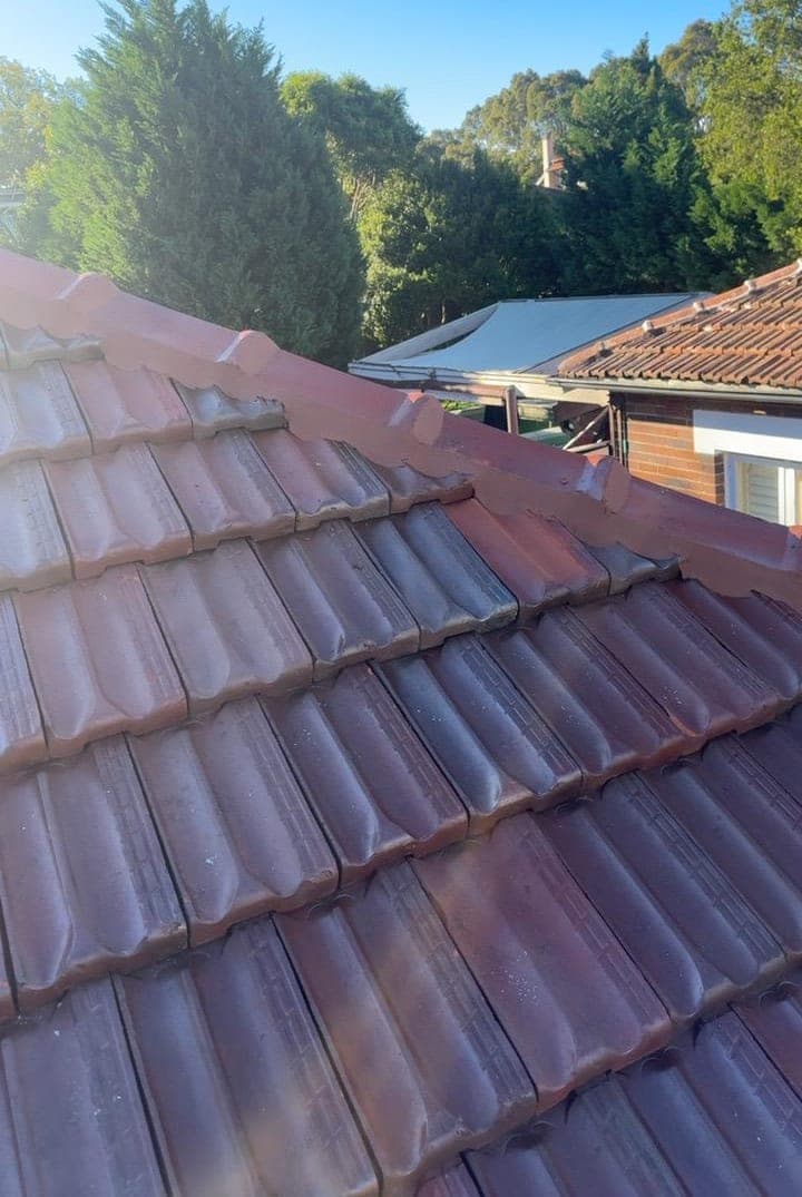 Heritage terracotta tile roof restoration — Crown Roofers project Willoughby East Lower North Shore Sydney — ridge cap detail — re-bedded and re-pointed