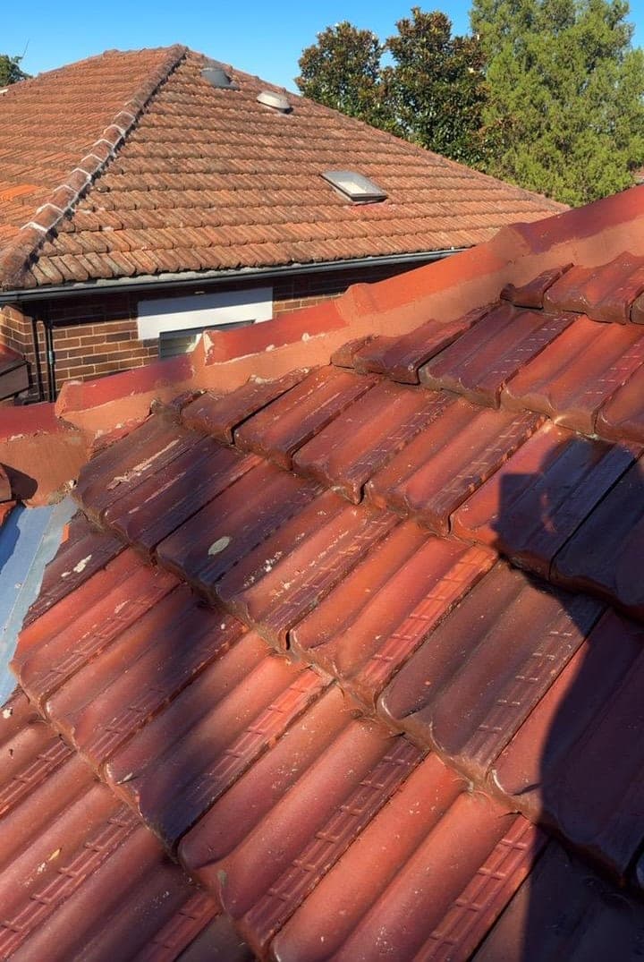 Heritage terracotta tile roof restoration — Crown Roofers project Willoughby East Lower North Shore Sydney — hip detail with new flexible pointing in matching colour