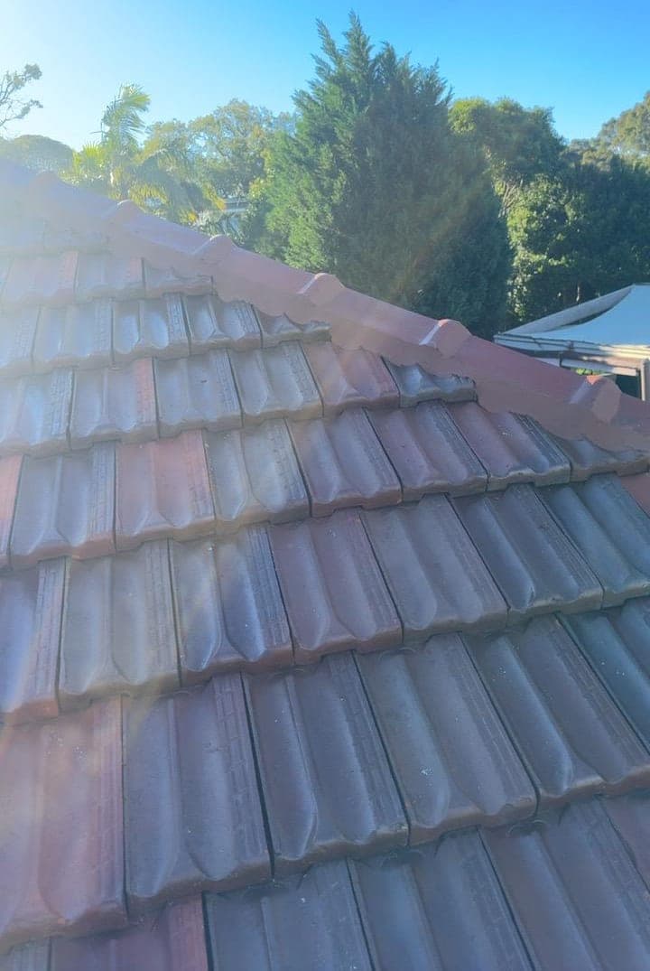 Heritage terracotta tile roof restoration — Crown Roofers project Willoughby East Lower North Shore Sydney — tile profile closeup — restored heritage finish