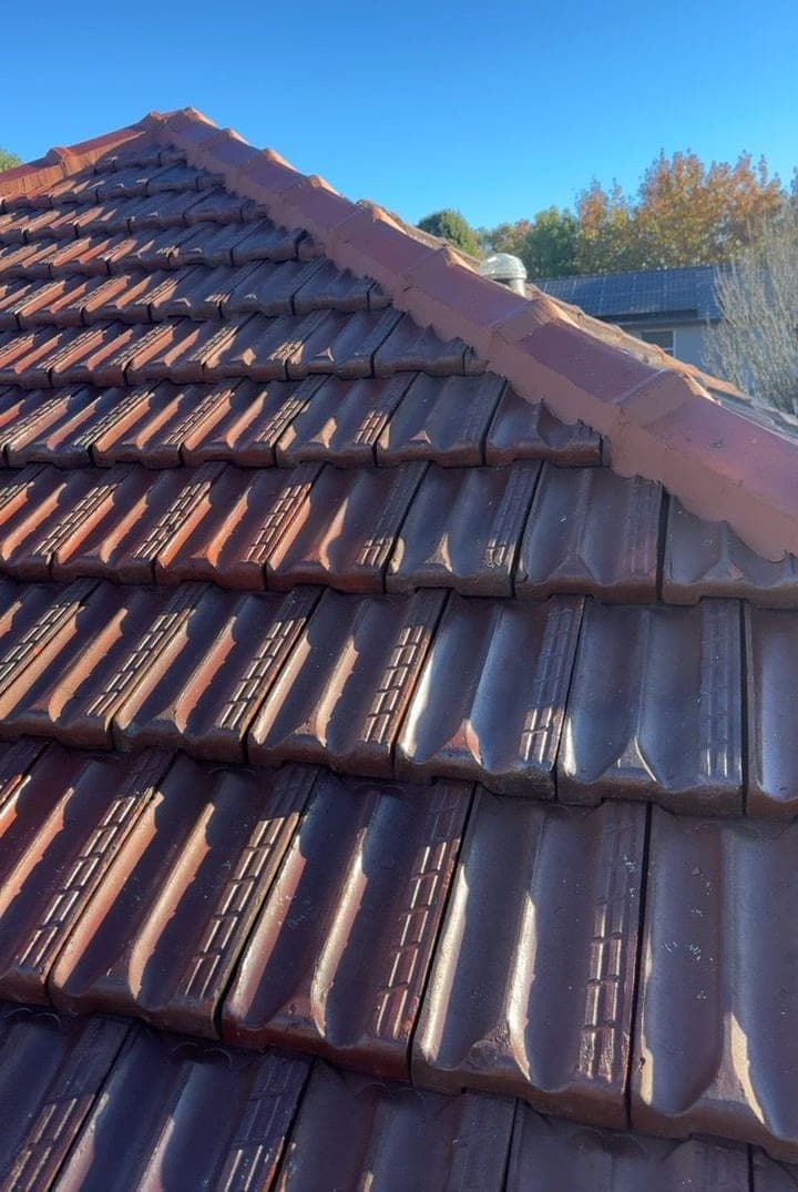 Heritage terracotta tile roof restoration — Crown Roofers project Willoughby East Lower North Shore Sydney — ridge cap detail — finished and aligned
