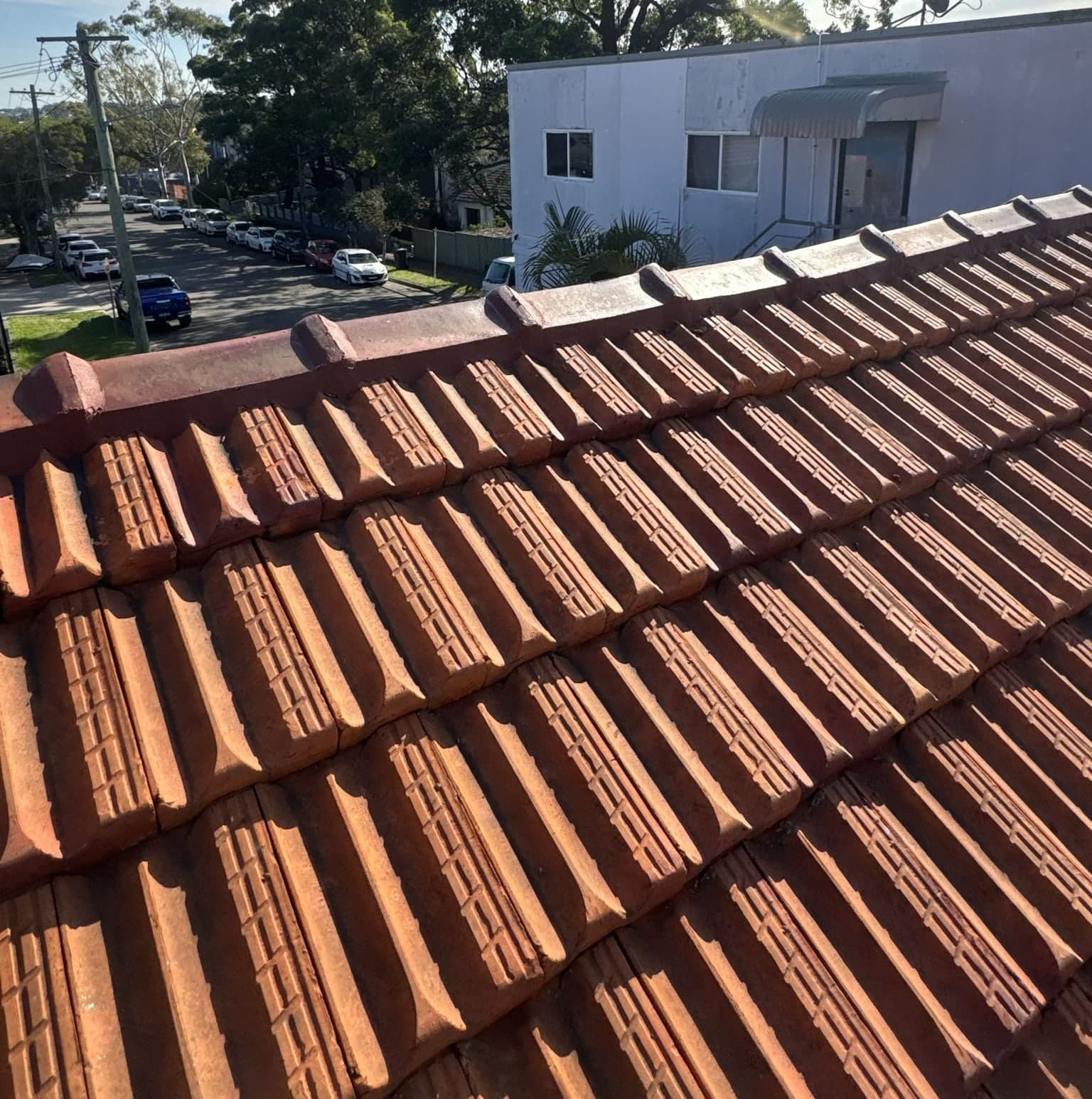 Terracotta tile roof restoration before and after Crown Roofers Belmore Inner West Sydney — after v2