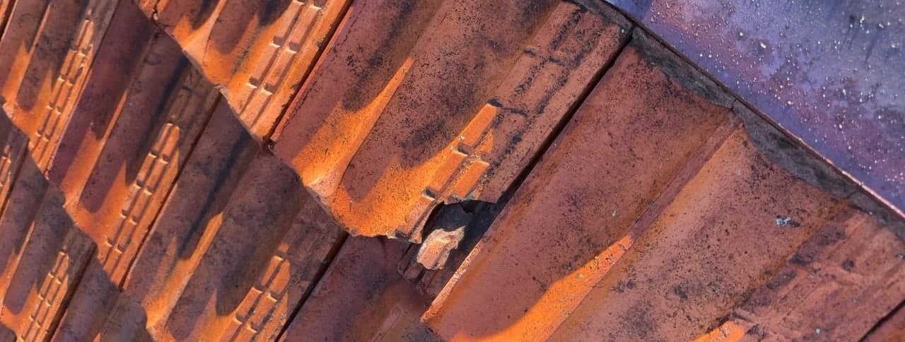 Terracotta tile roof restoration before and after Crown Roofers Belmore Inner West Sydney — before v2