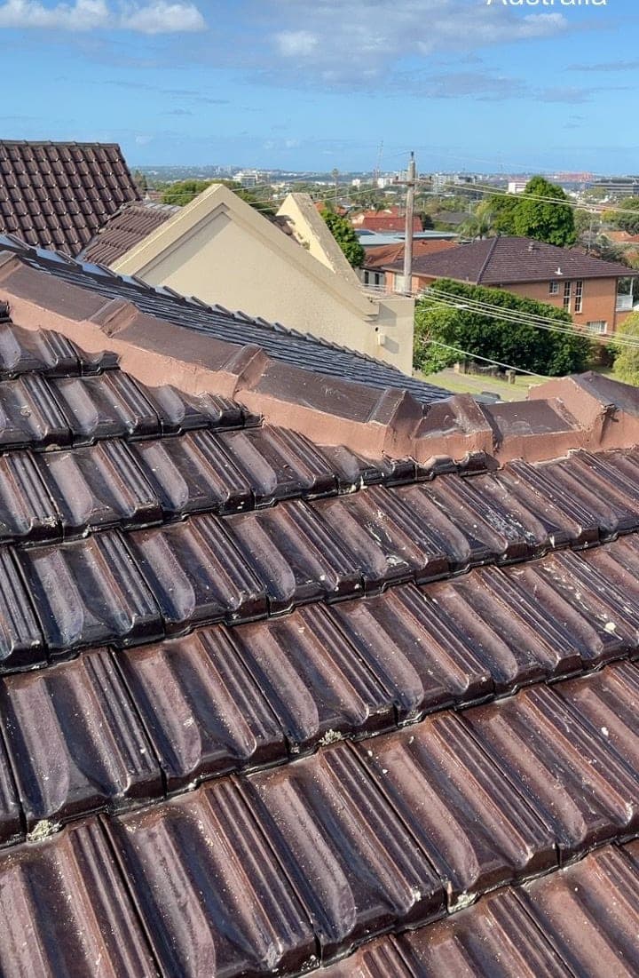 Terracotta tile roof restoration and re-coating Crown Roofers Bexley St George Sydney — photo 36 v2
