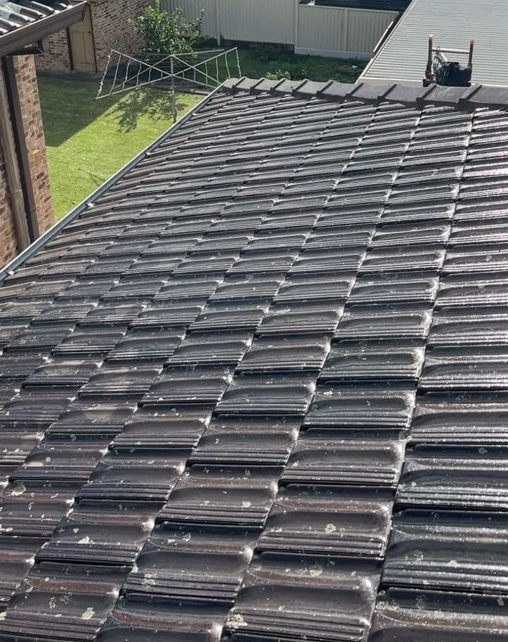 Terracotta tile roof restoration and re-coating Crown Roofers Bexley St George Sydney — photo 46 v2