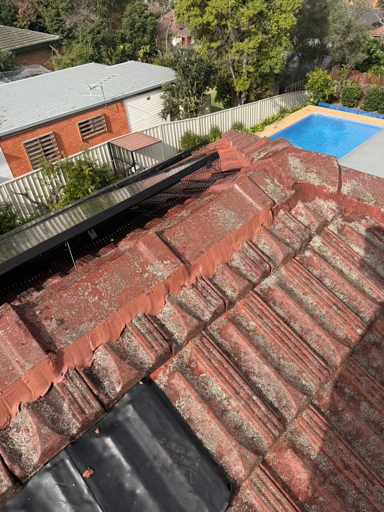 Aged terracotta tile roof with solar panels — Crown Roofers tile restoration project Epping North Shore Sydney — photo 12