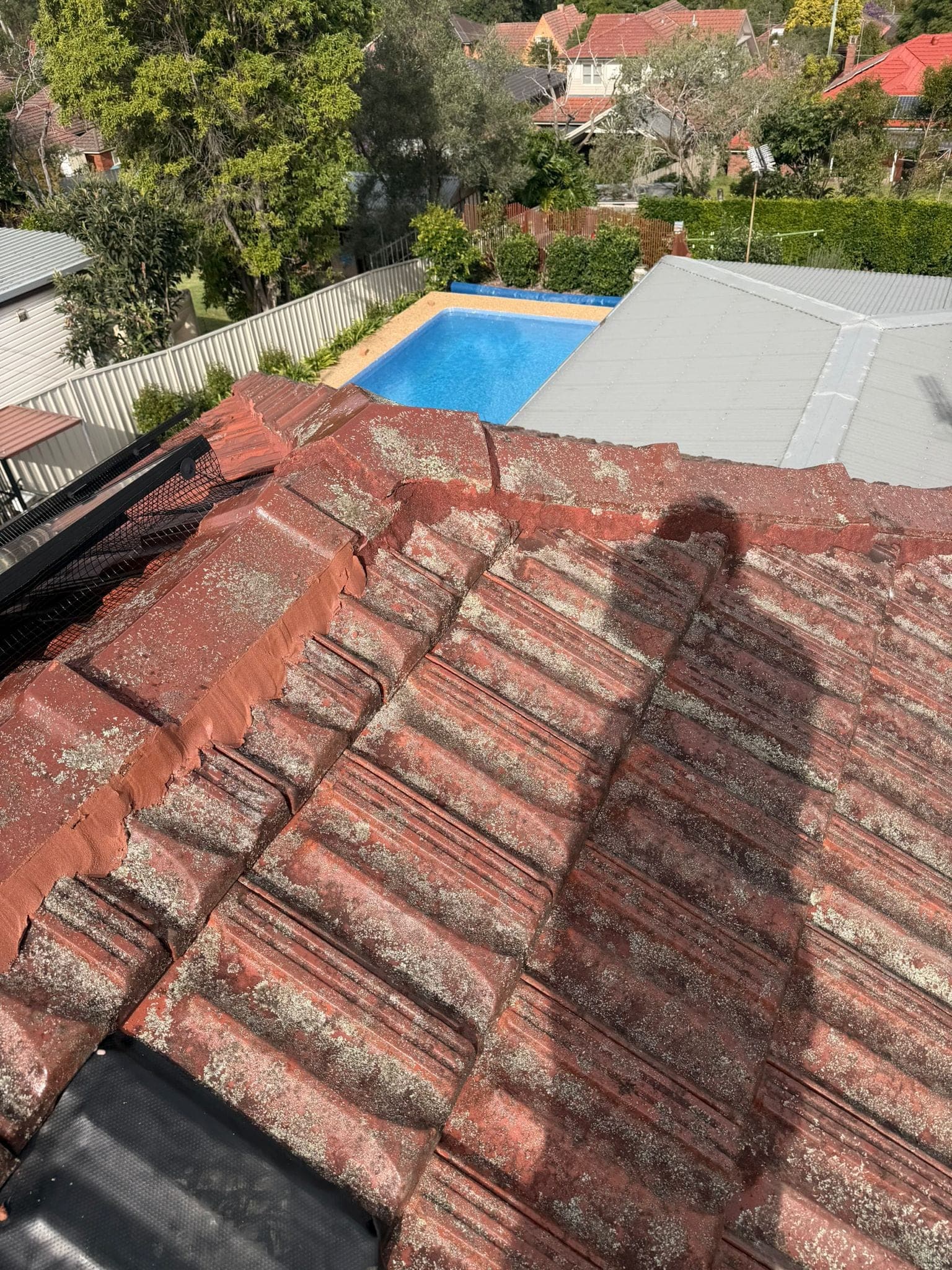 Aged terracotta tile roof with solar panels — Crown Roofers tile restoration project Epping North Shore Sydney — photo 13