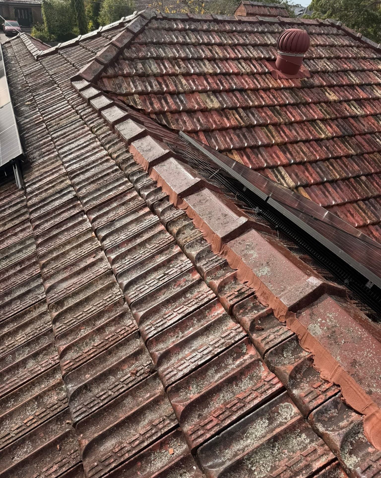 Aged terracotta tile roof with solar panels — Crown Roofers tile restoration project Epping North Shore Sydney — photo 14