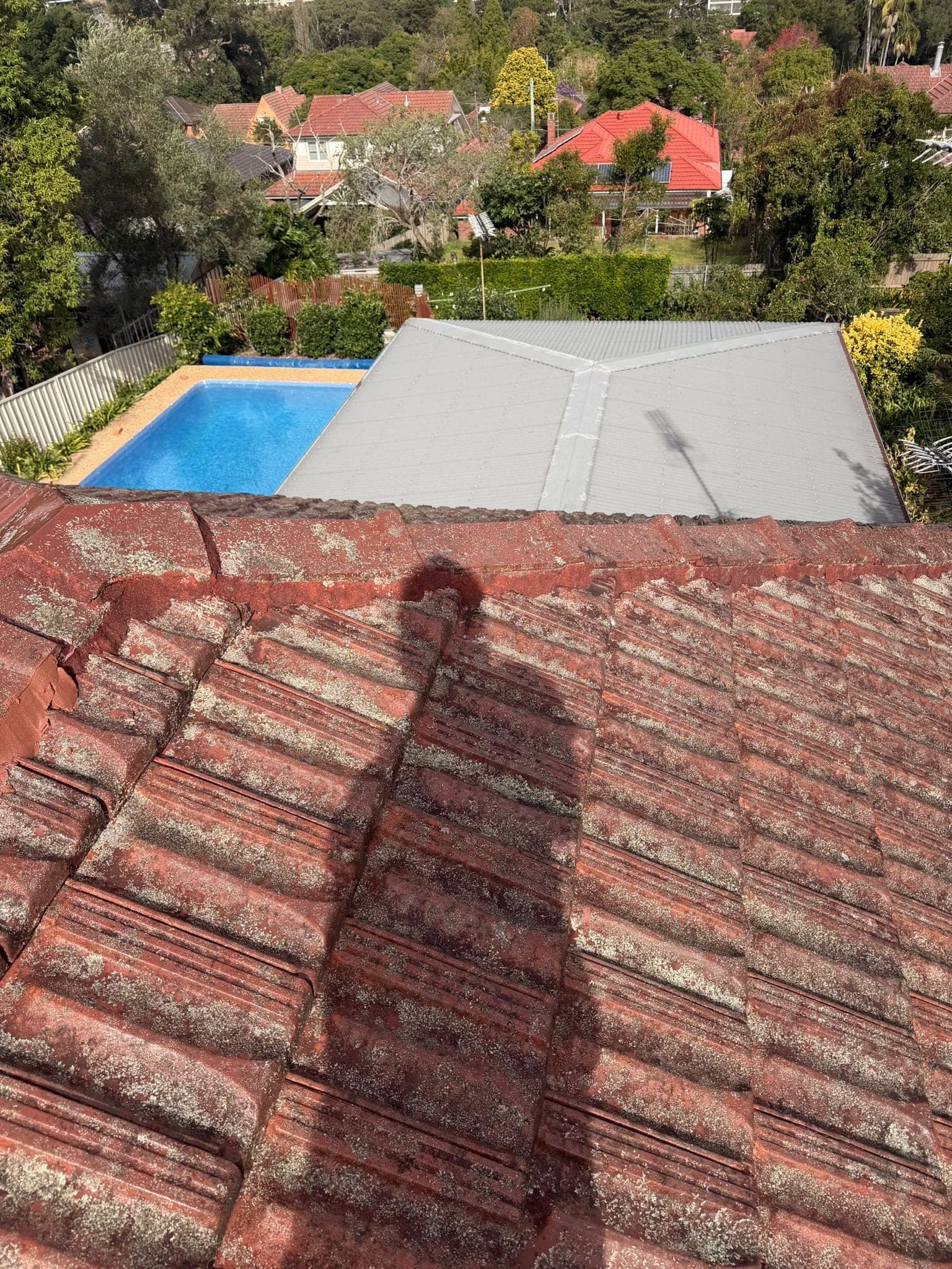 Aged terracotta tile roof with solar panels — Crown Roofers tile restoration project Epping North Shore Sydney — photo 15