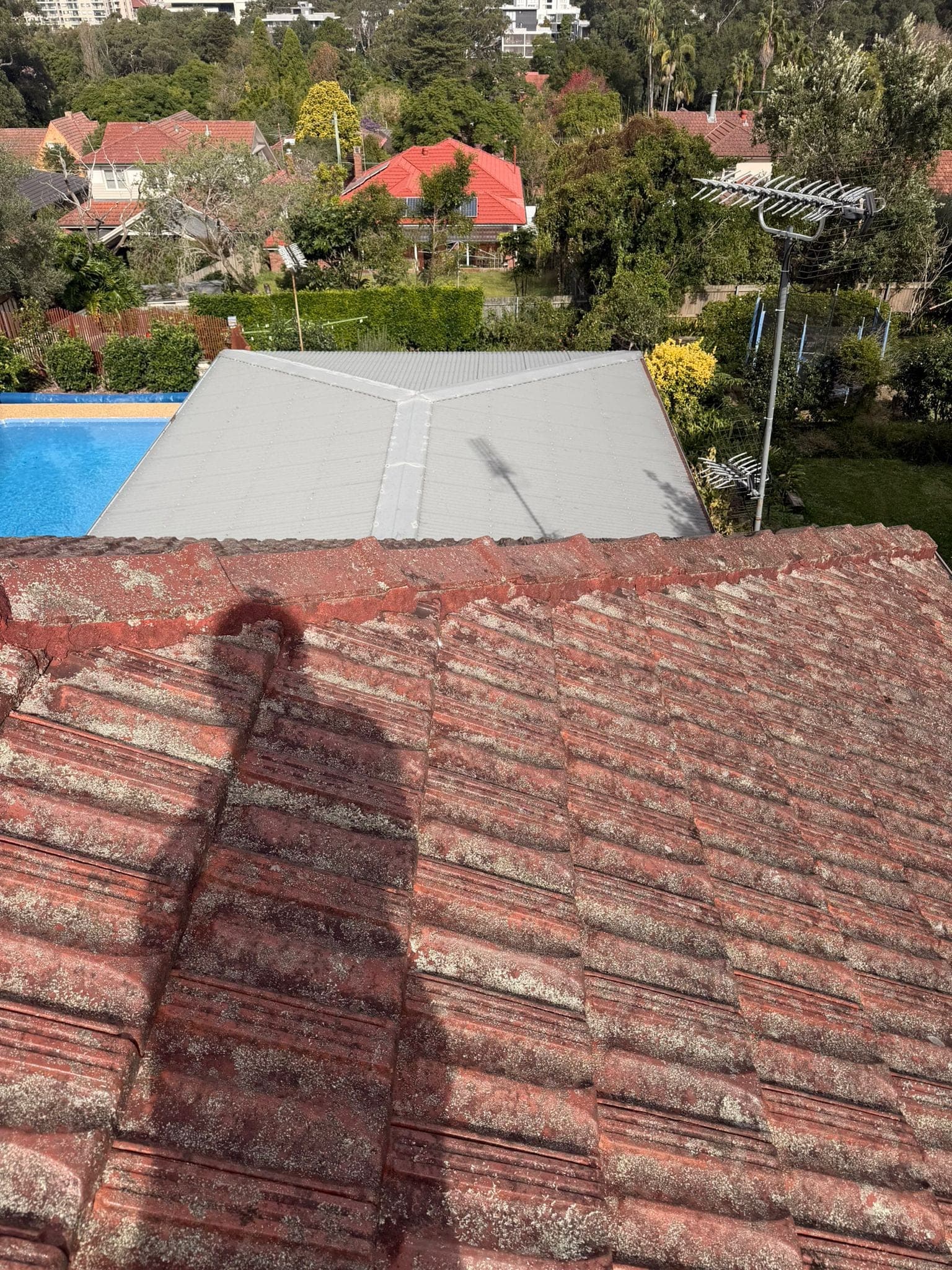 Aged terracotta tile roof with solar panels — Crown Roofers tile restoration project Epping North Shore Sydney — photo 17