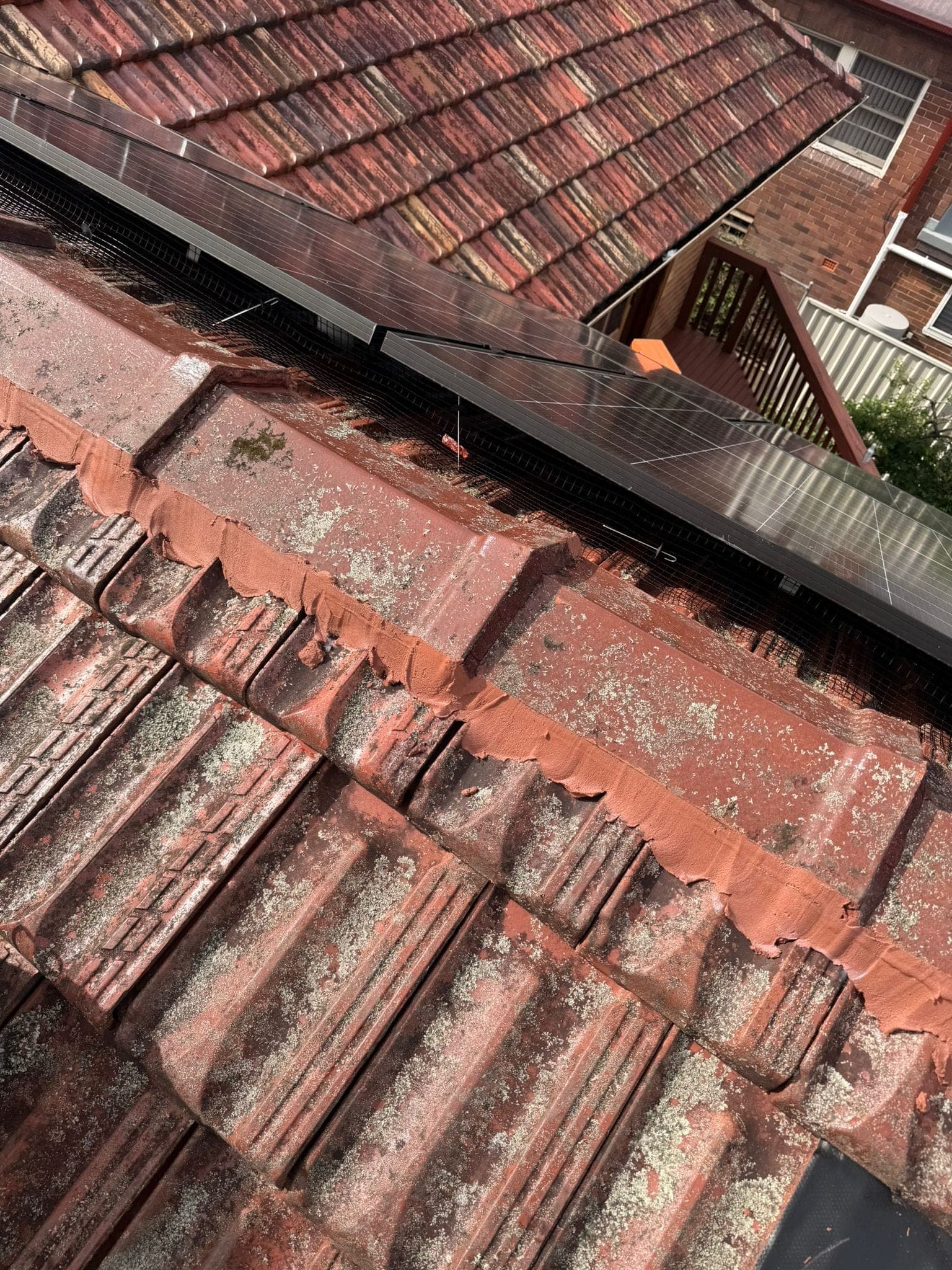 Aged terracotta tile roof with solar panels — Crown Roofers tile restoration project Epping North Shore Sydney — photo 18