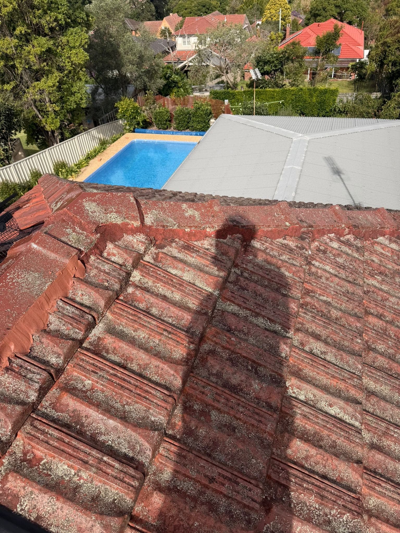 Aged terracotta tile roof with solar panels — Crown Roofers tile restoration project Epping North Shore Sydney — photo 19