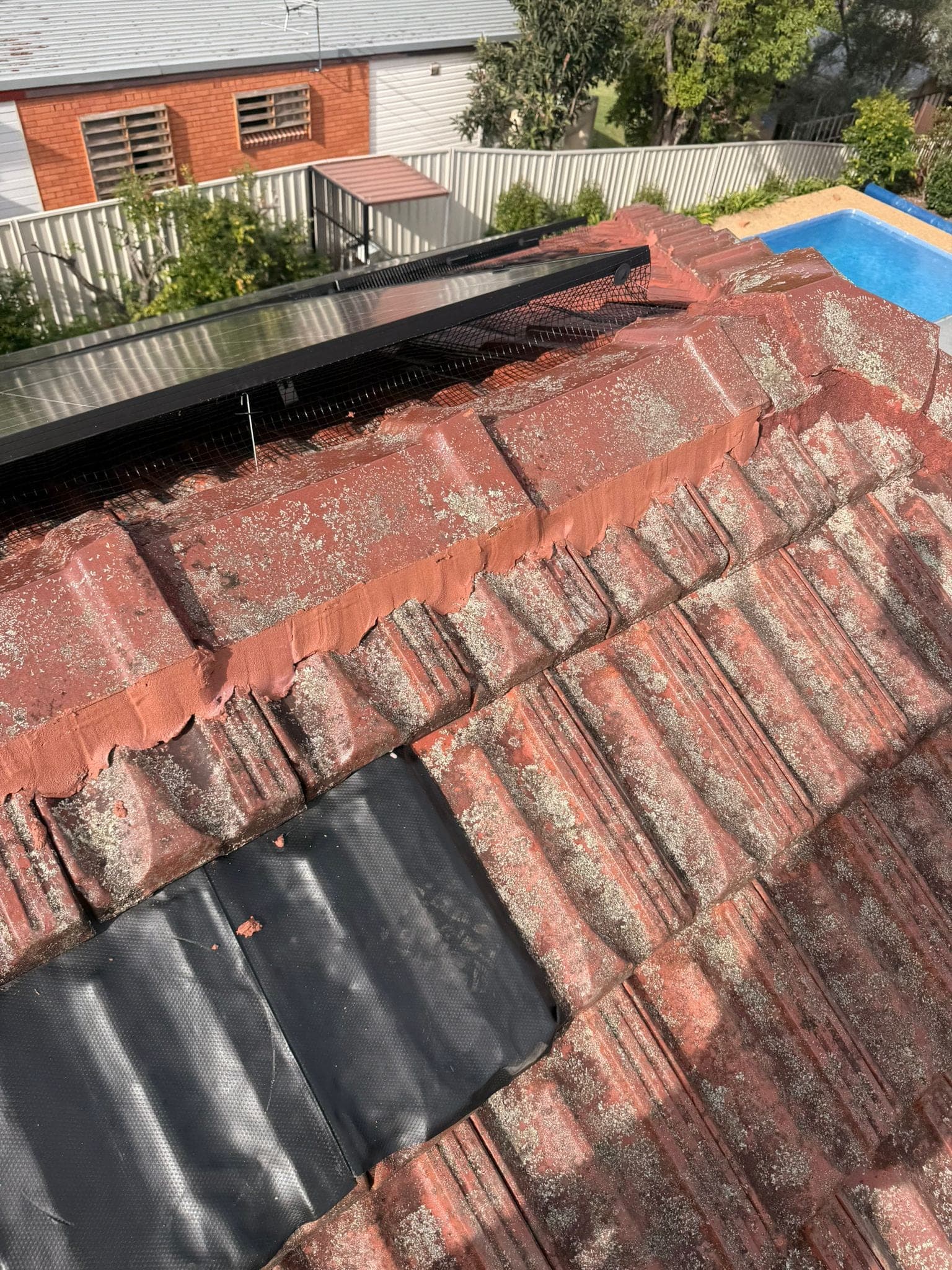 Aged terracotta tile roof with solar panels — Crown Roofers tile restoration project Epping North Shore Sydney — photo 23