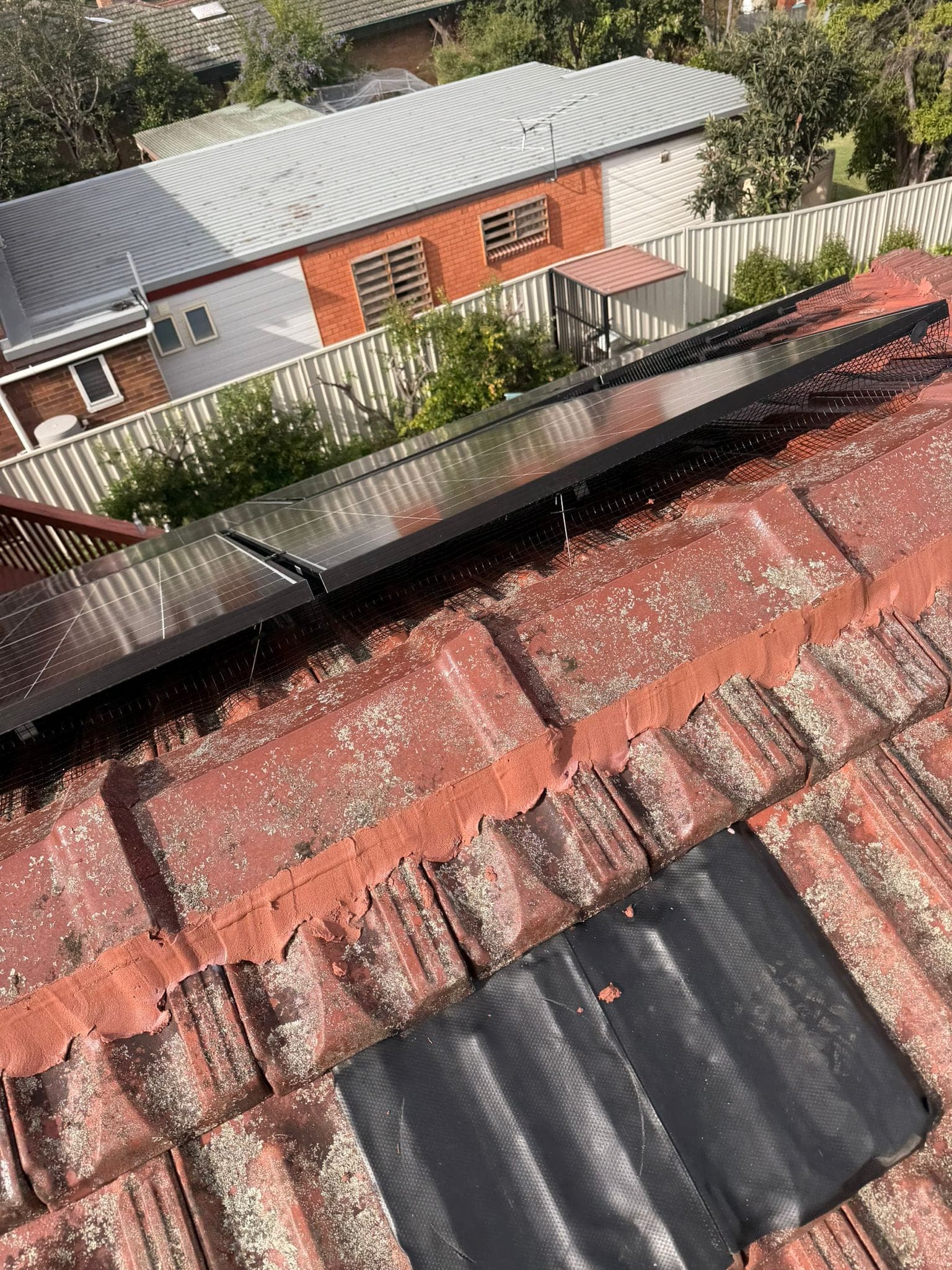 Aged terracotta tile roof with solar panels — Crown Roofers tile restoration project Epping North Shore Sydney — photo 24