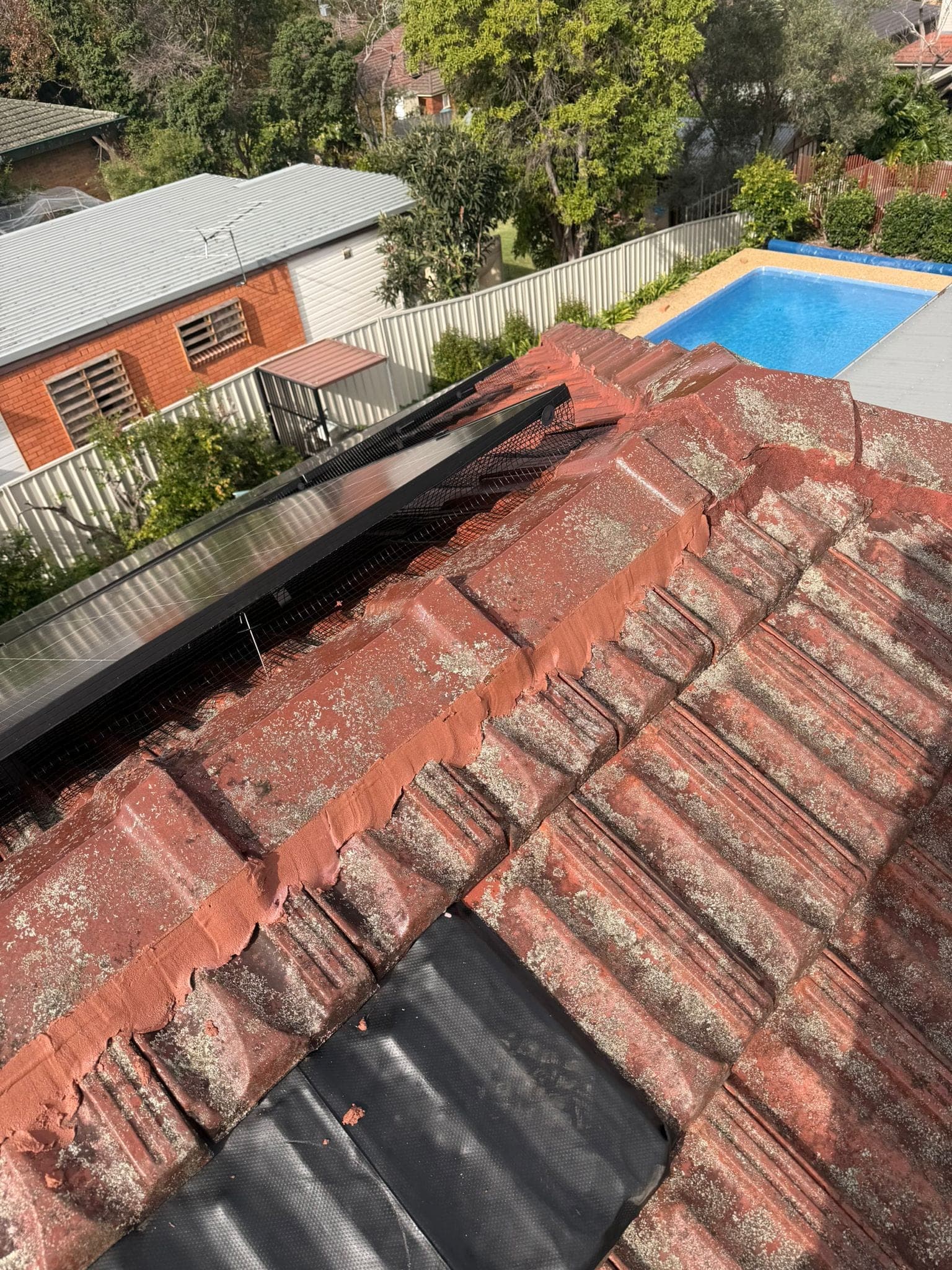 Aged terracotta tile roof with solar panels — Crown Roofers tile restoration project Epping North Shore Sydney — photo 25