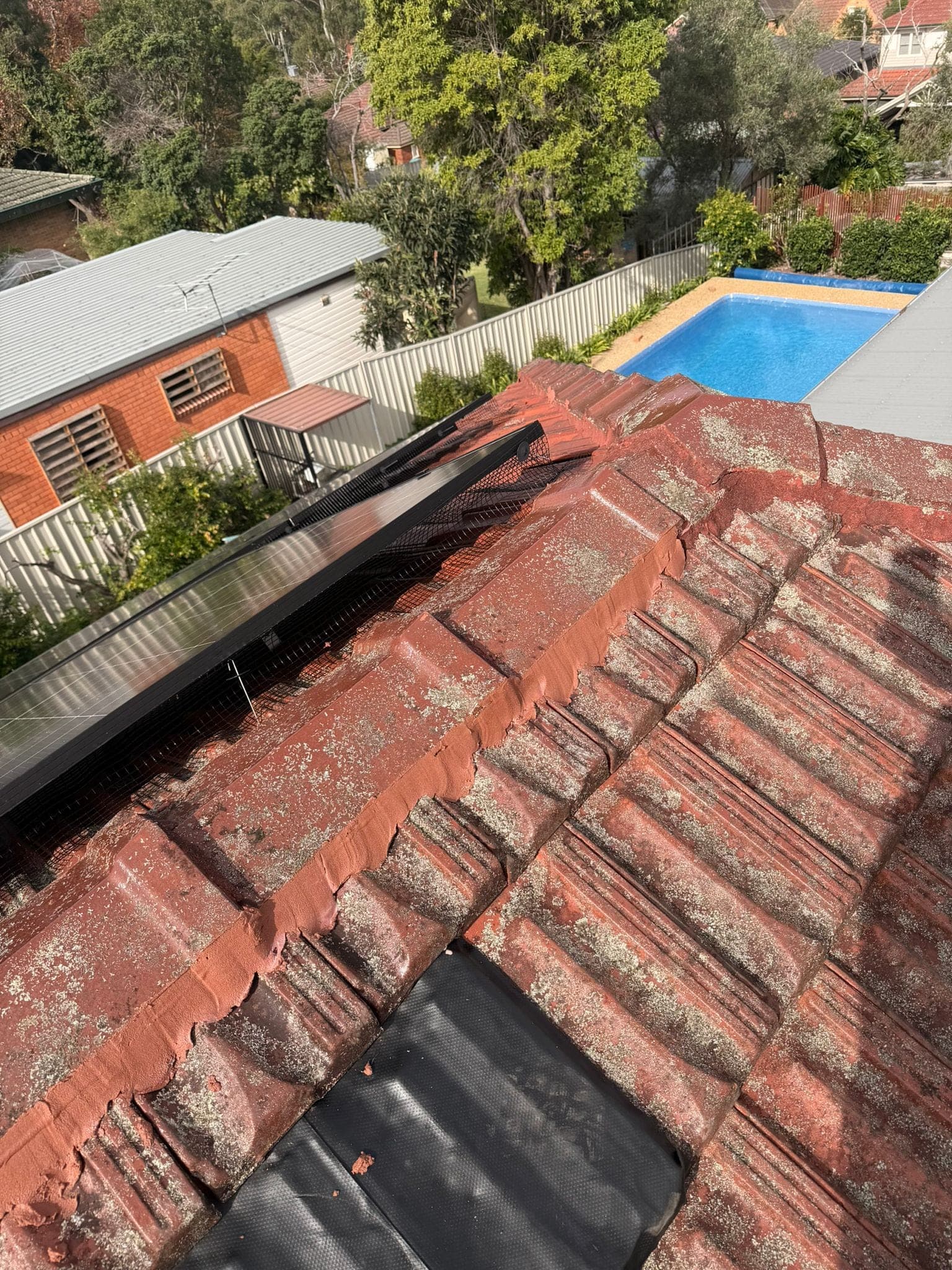 Aged terracotta tile roof with solar panels — Crown Roofers tile restoration project Epping North Shore Sydney — photo 27