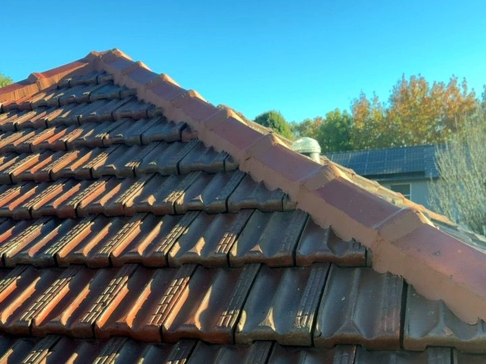 Terracotta tile roof after cleaning and repointing by Crown Roofers, Sydney