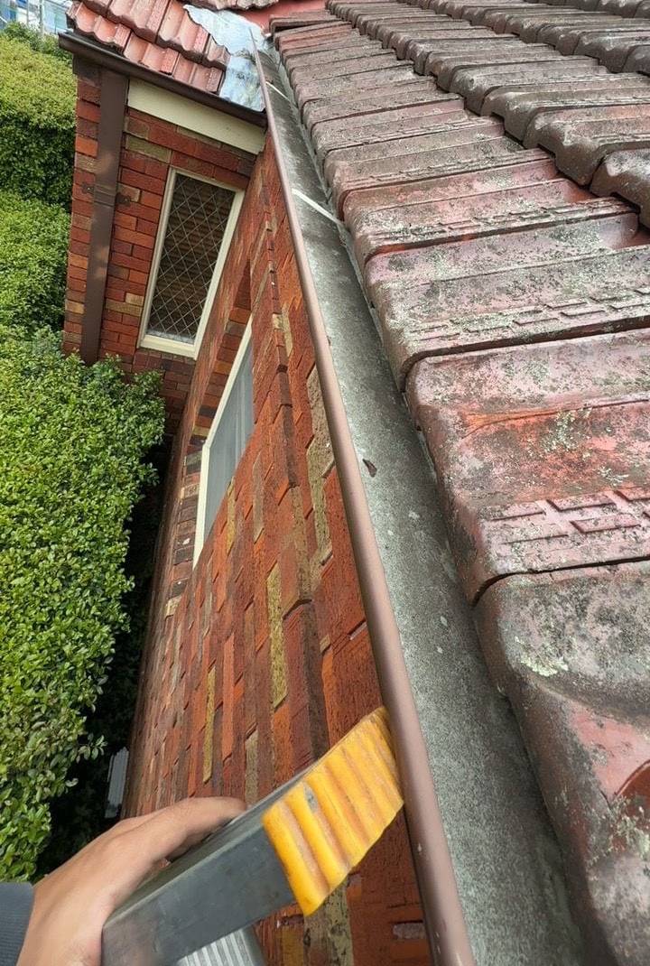 Gutter & Downpipe Replacement — Willoughby East — Crown Roofers Willoughby